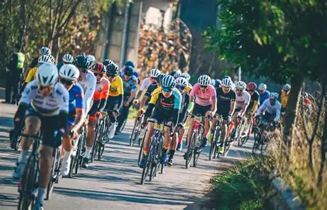 米兰体育·「中国」官方网站- Milan