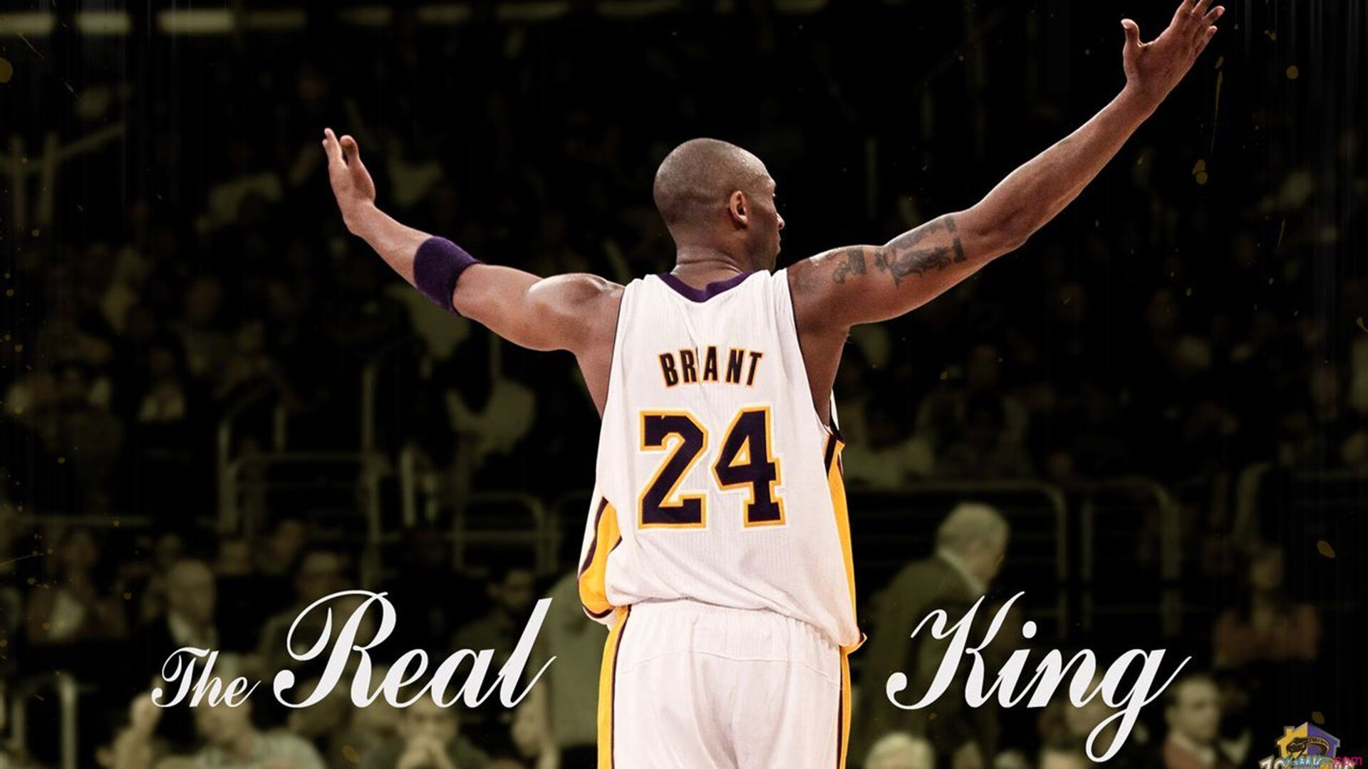 米兰体育官网登录入口-未来五年的技术路线图，未来五年的趋势让所有人胆战心惊